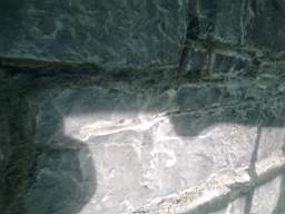 millstreet 11890.jpg